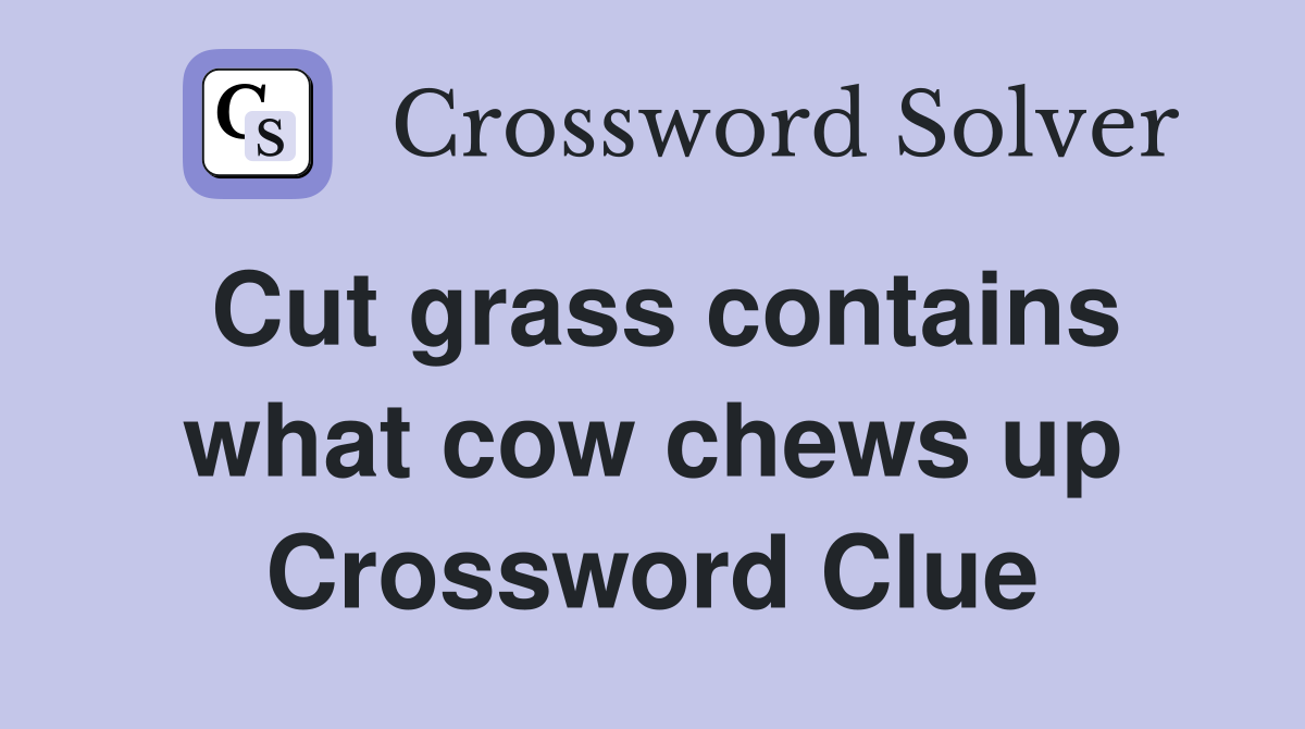 Cut grass contains what cow chews up Crossword Clue