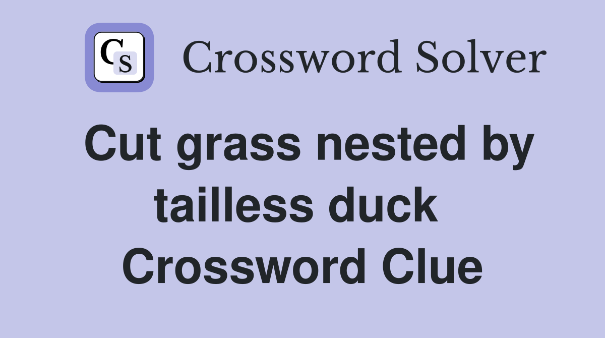 Cut grass nested by tailless duck  Crossword Clue