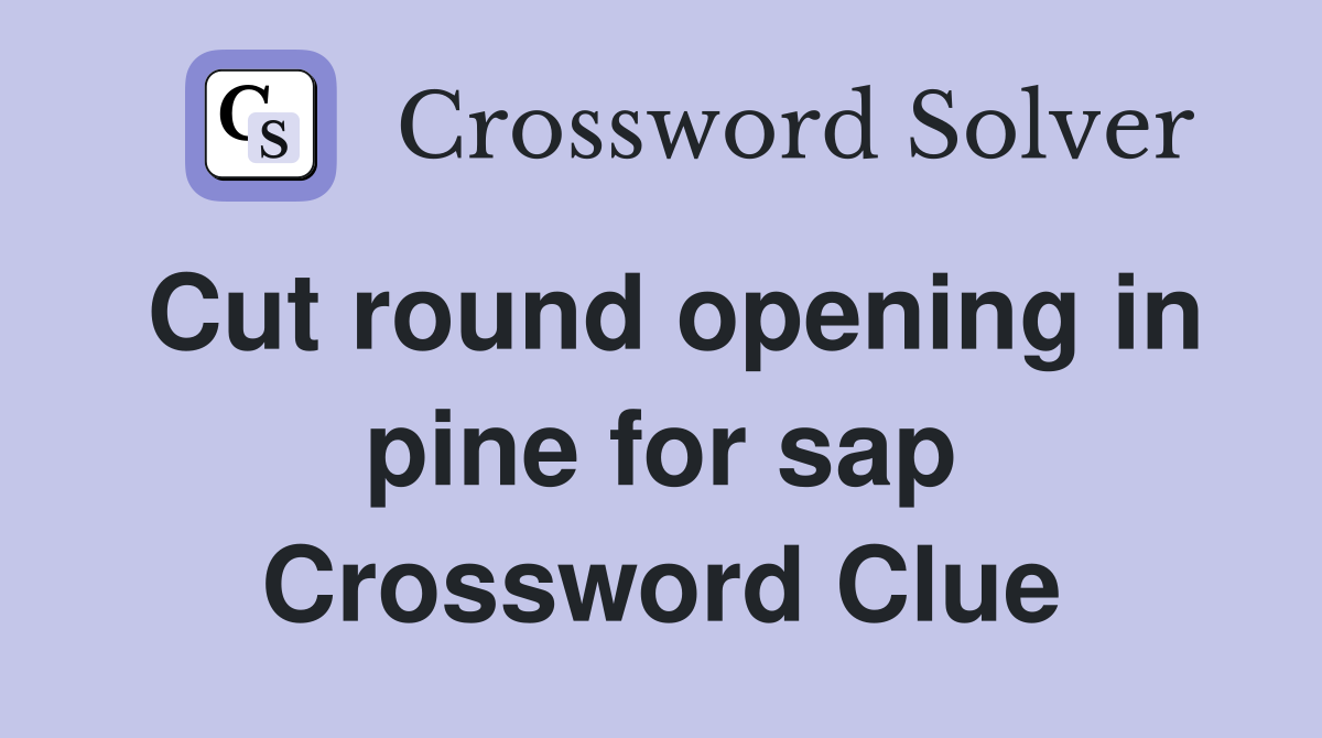 Cut round opening in pine for sap Crossword Clue