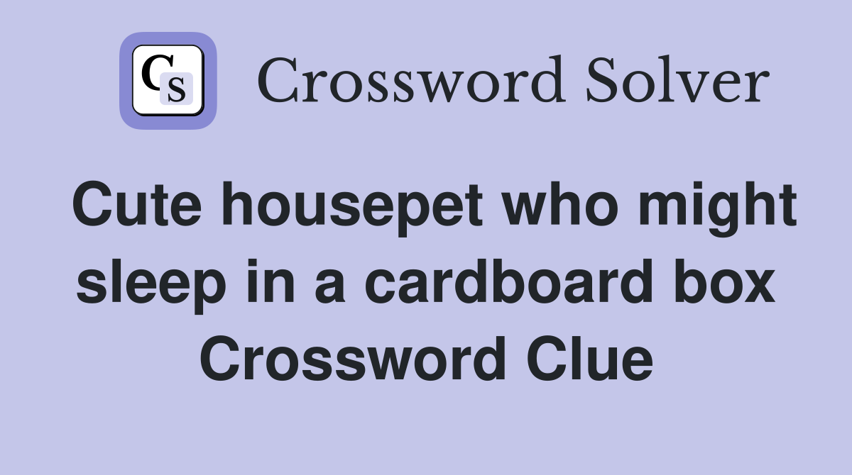 Cute housepet who might sleep in a cardboard box Crossword Clue