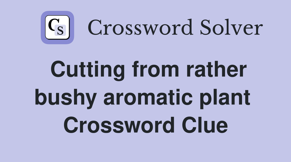 Cutting from rather bushy aromatic plant  Crossword Clue