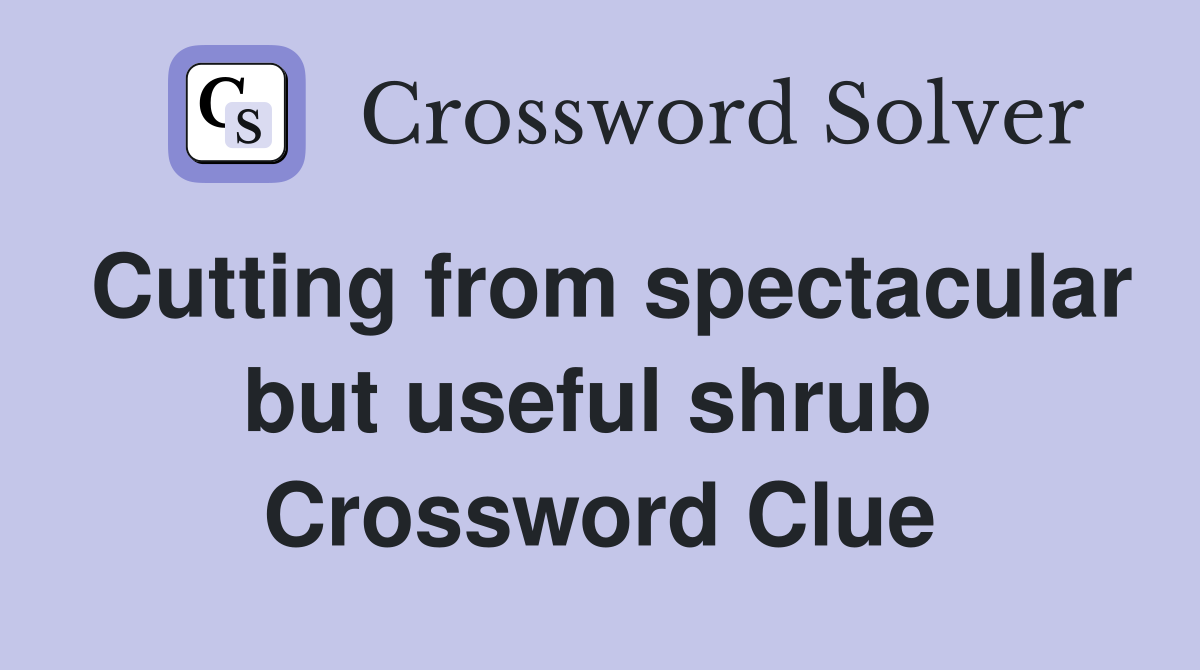 Cutting from spectacular but useful shrub  Crossword Clue