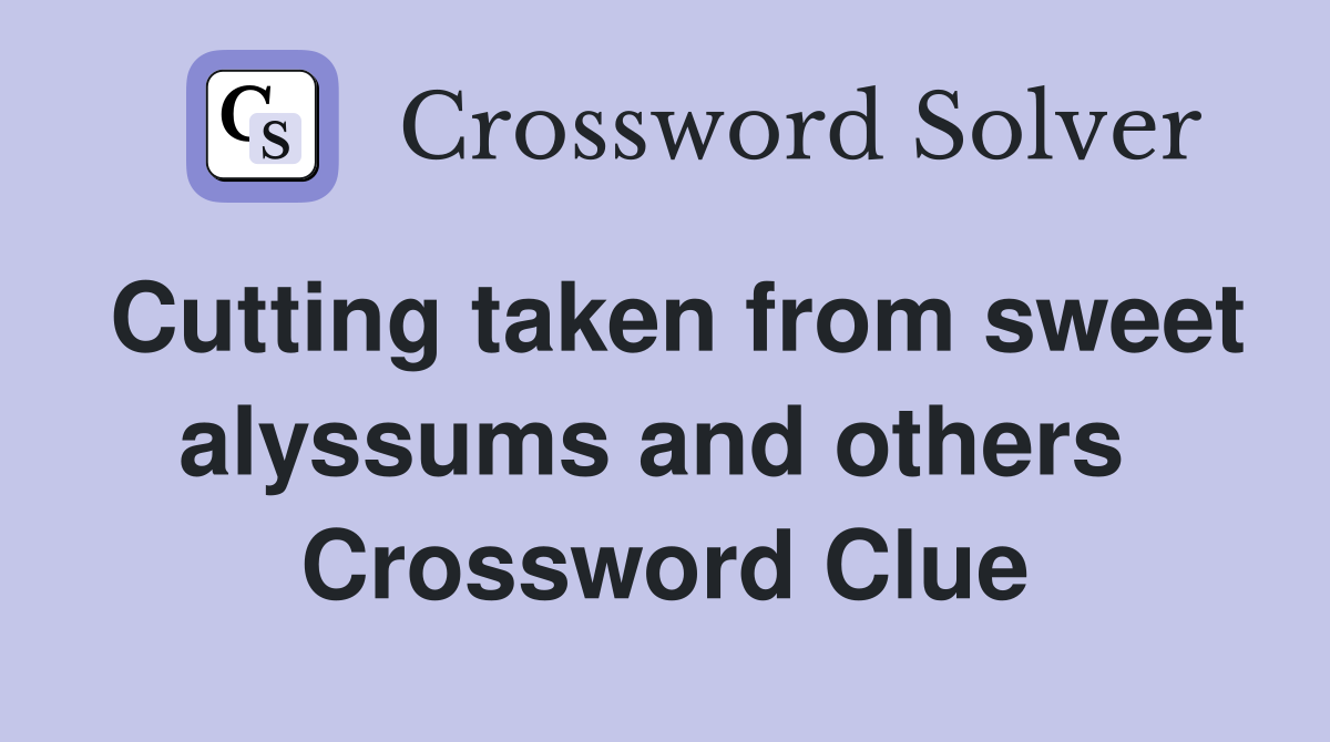 Cutting taken from sweet alyssums and others  Crossword Clue