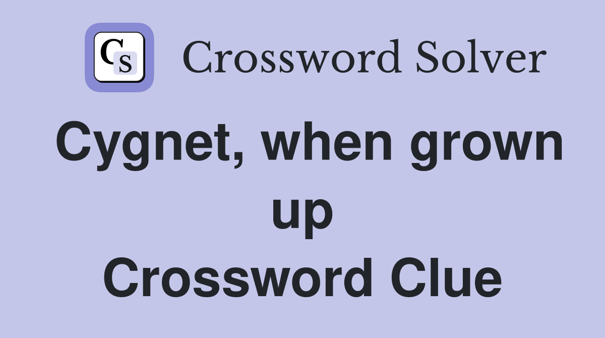 Cygnet, when grown up Crossword Clue
