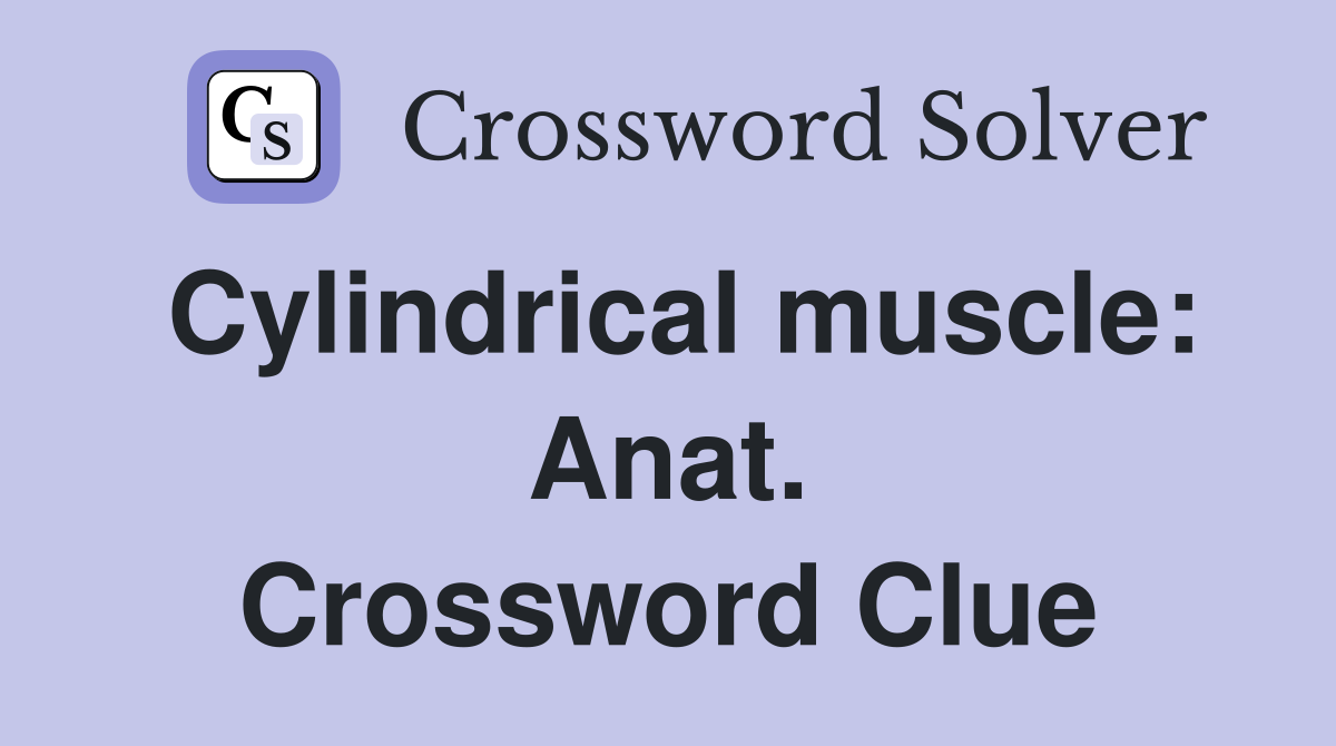 Cylindrical muscle: Anat. Crossword Clue