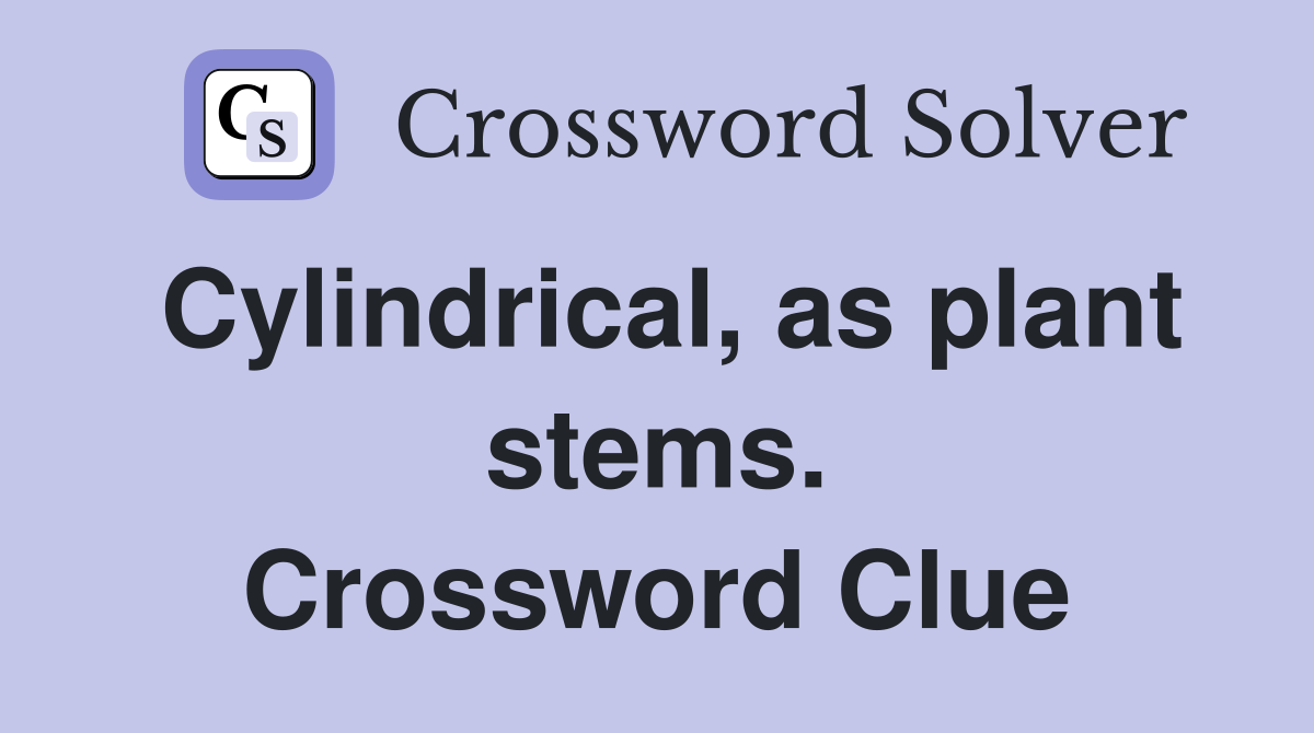 Cylindrical, as plant stems. Crossword Clue