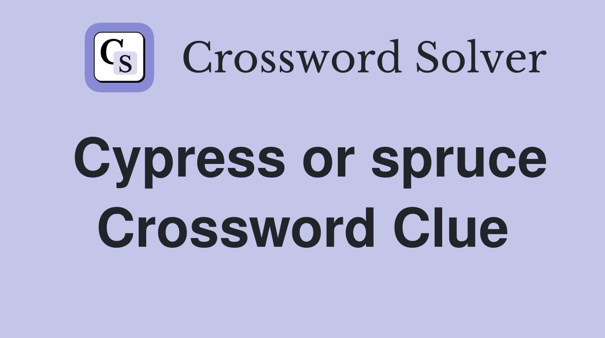 Cypress or spruce Crossword Clue