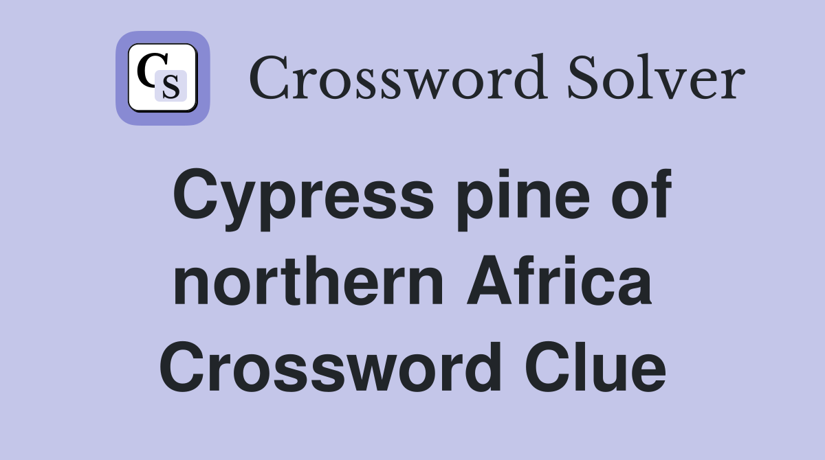 Cypress pine of northern Africa Crossword Clue