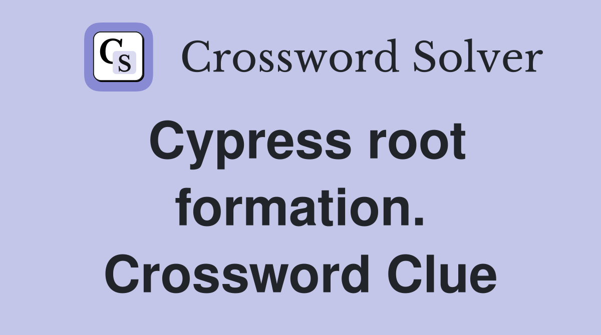 Cypress root formation. Crossword Clue