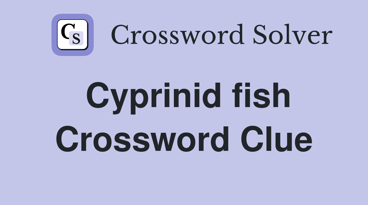 Cyprinid fish Crossword Clue