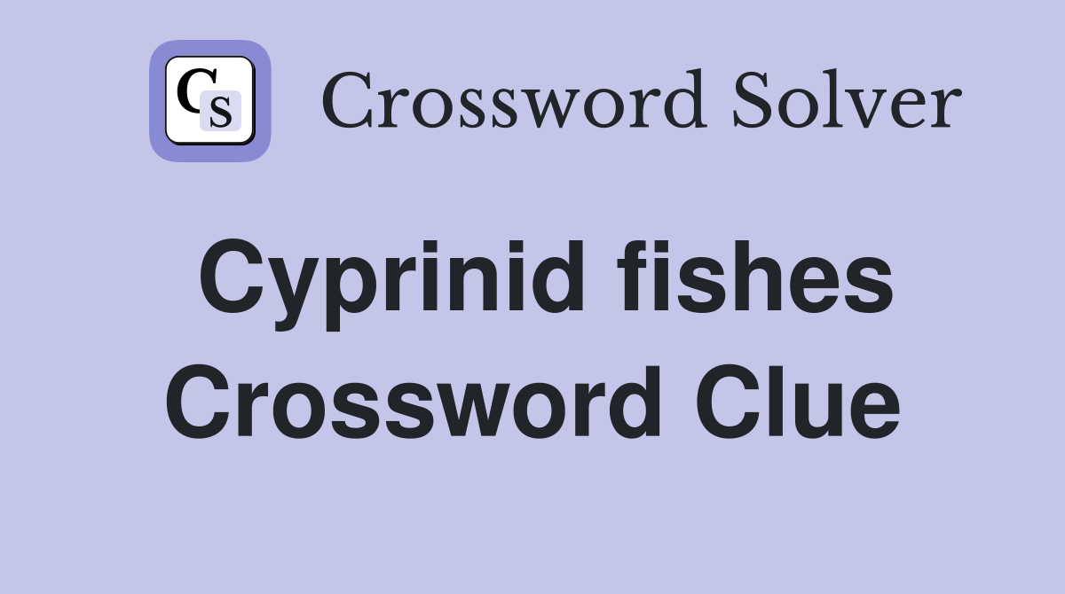 Cyprinid fishes Crossword Clue