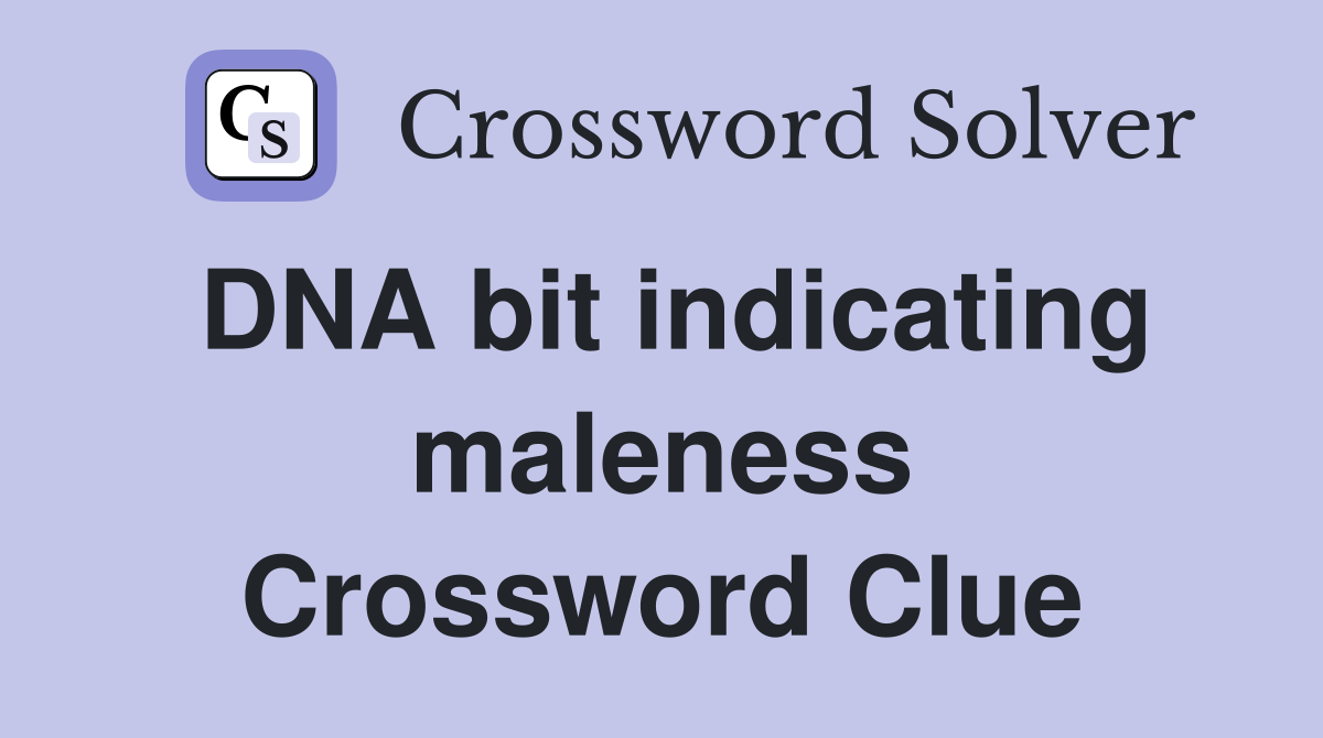 DNA bit indicating maleness Crossword Clue