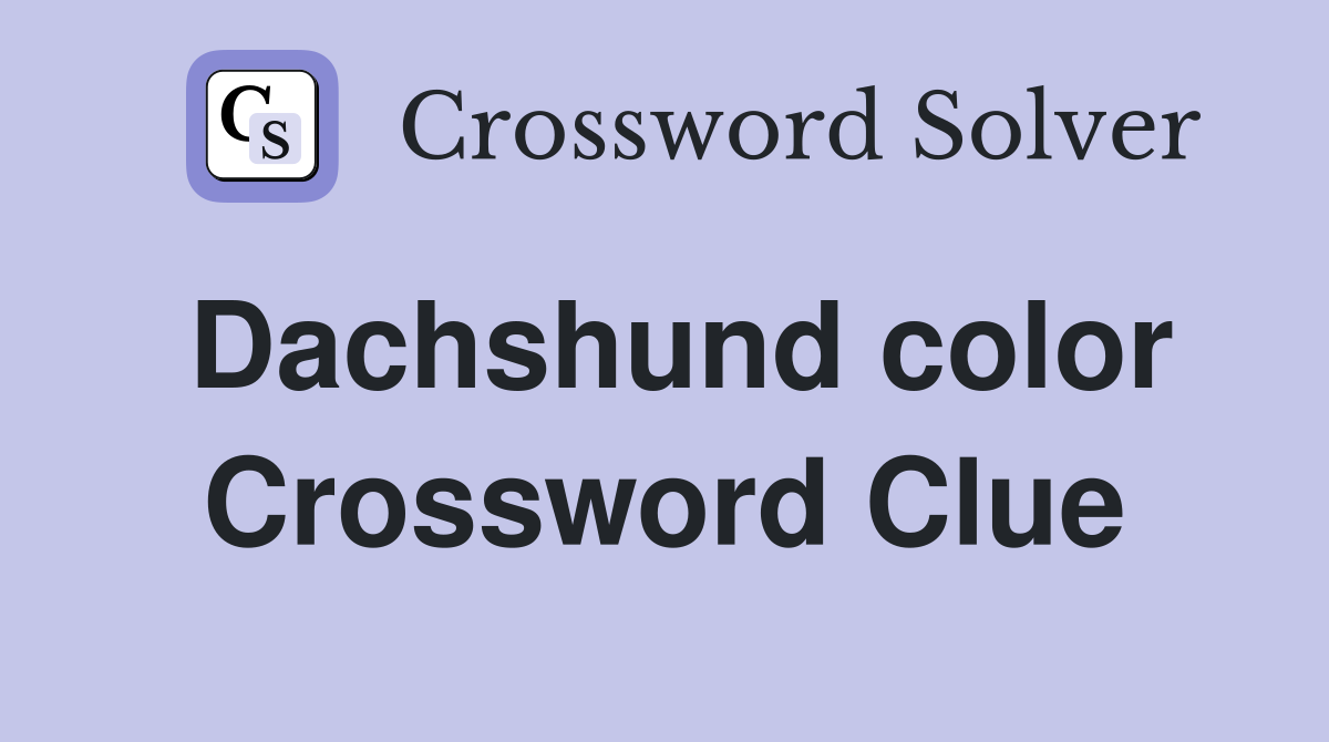 Dachshund color Crossword Clue