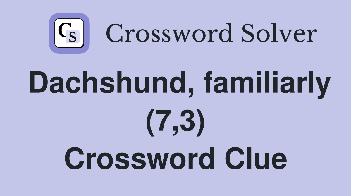 Dachshund, familiarly (7,3) Crossword Clue