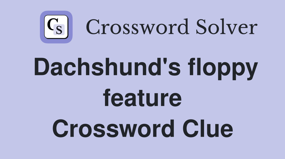 Dachshund's floppy feature Crossword Clue