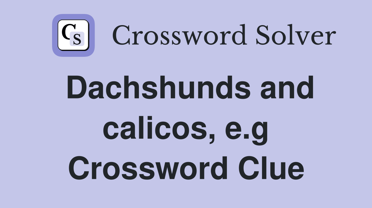 Dachshunds and calicos, e.g Crossword Clue