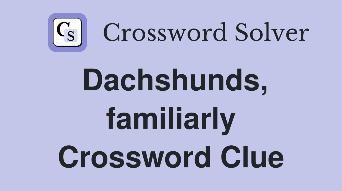 Dachshunds, familiarly Crossword Clue