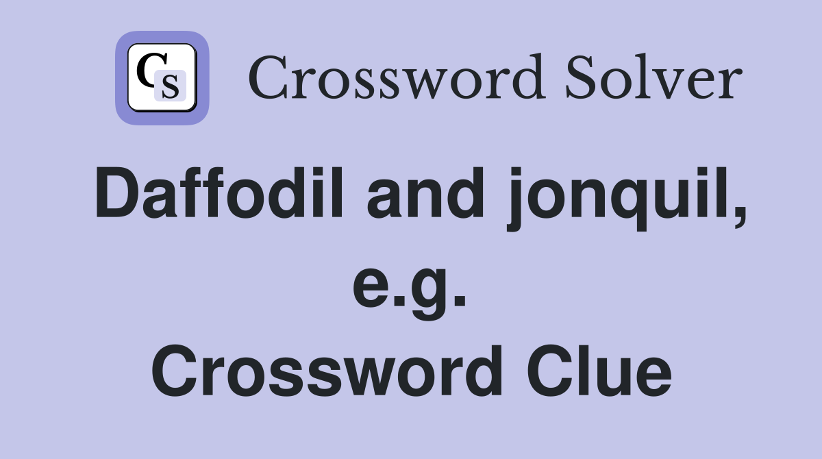 Daffodil and jonquil, e.g. Crossword Clue