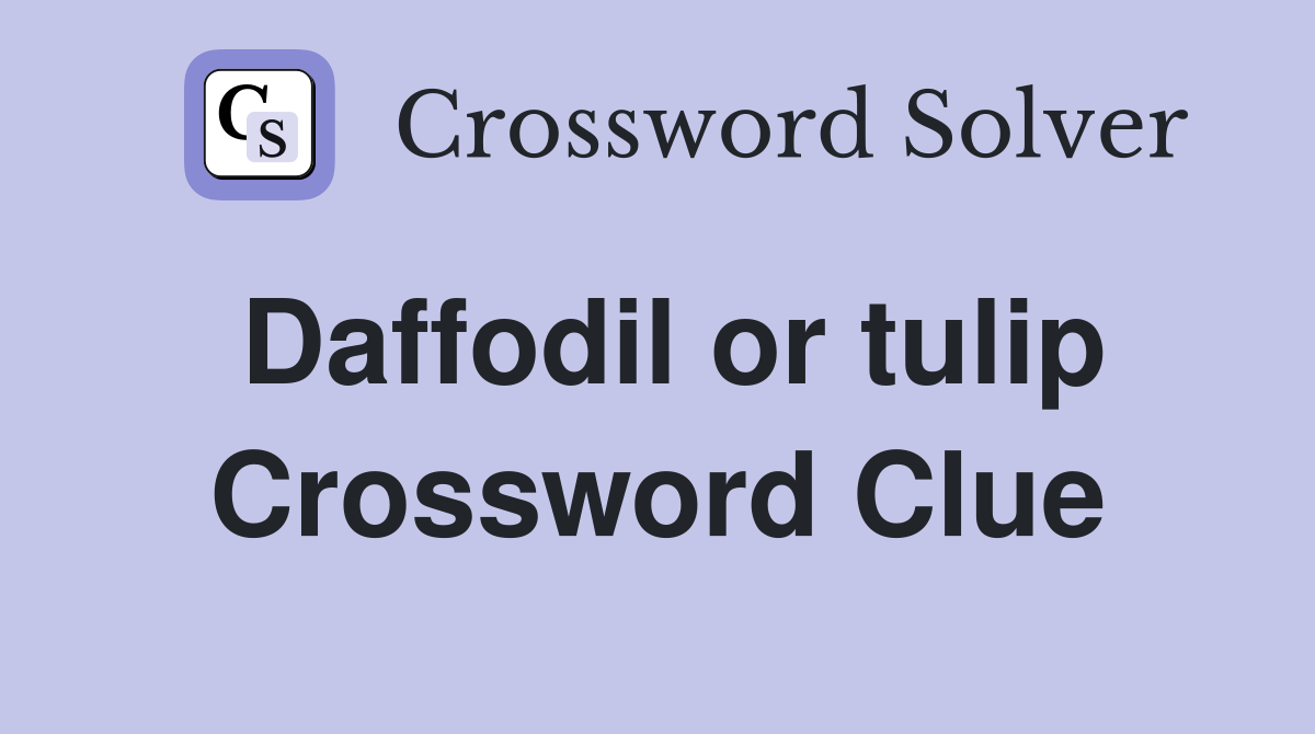 Daffodil or tulip Crossword Clue