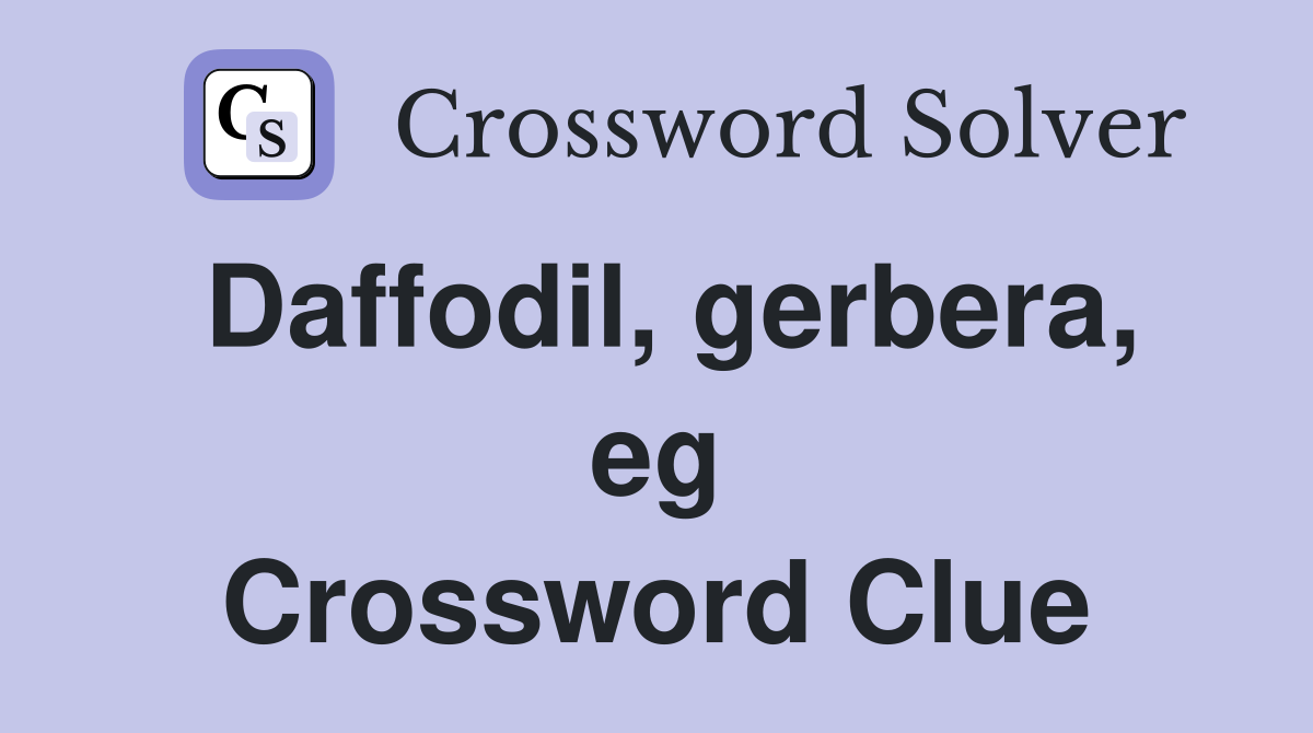 Daffodil, gerbera, eg Crossword Clue