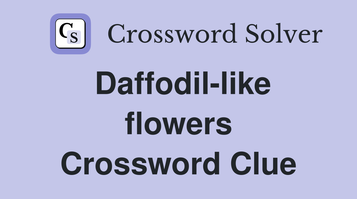 Daffodil-like flowers Crossword Clue