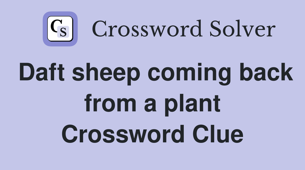 Daft sheep coming back from a plant Crossword Clue
