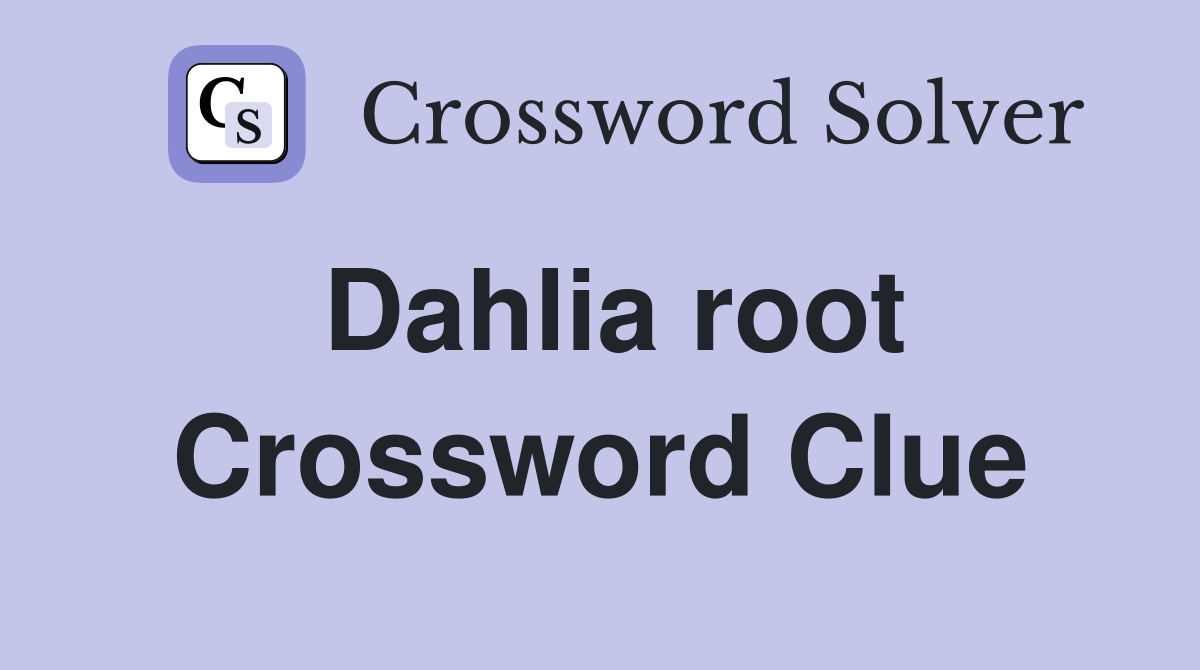 Dahlia root Crossword Clue