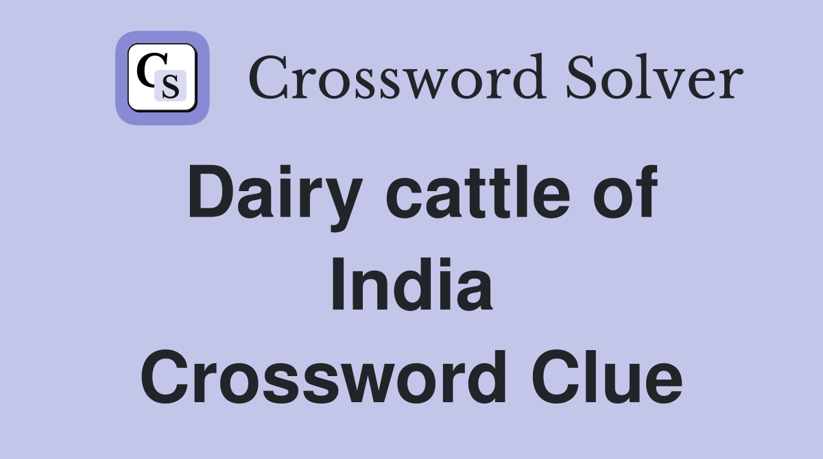 Dairy cattle of India Crossword Clue