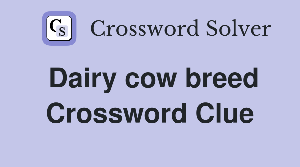 Dairy cow breed Crossword Clue