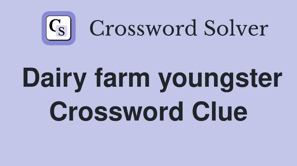 Dairy farm youngster Crossword Clue