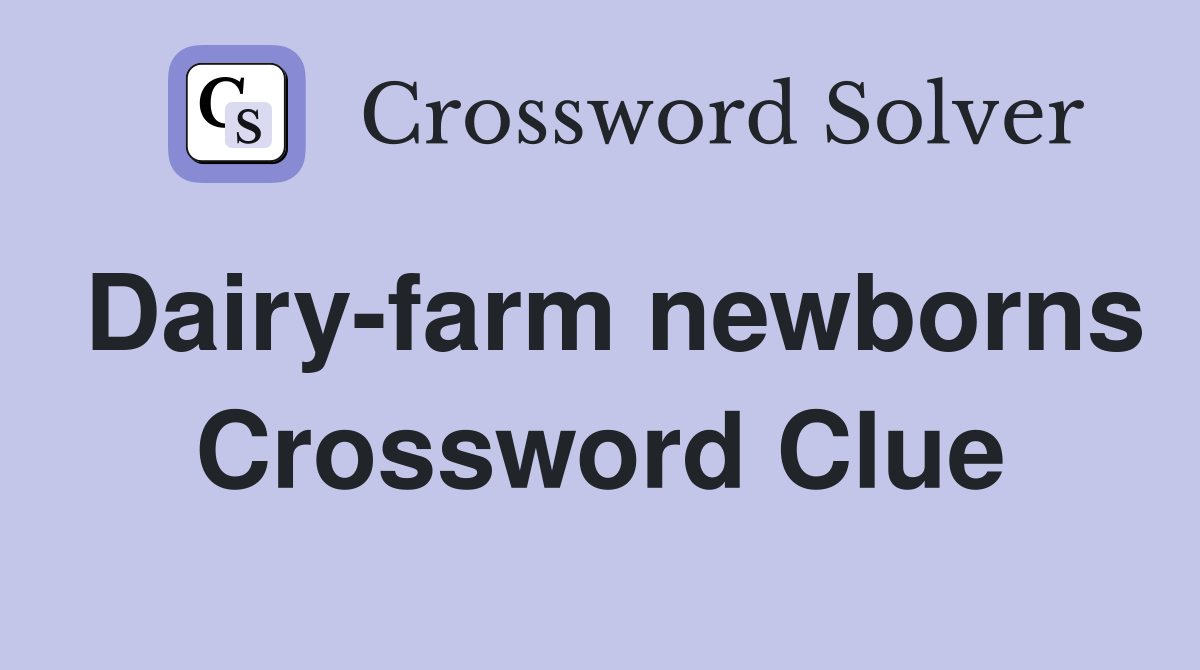 Dairy-farm newborns Crossword Clue