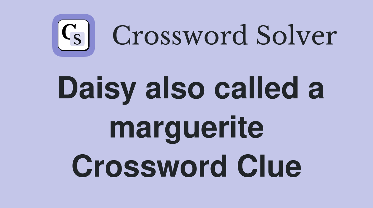 Daisy also called a marguerite Crossword Clue