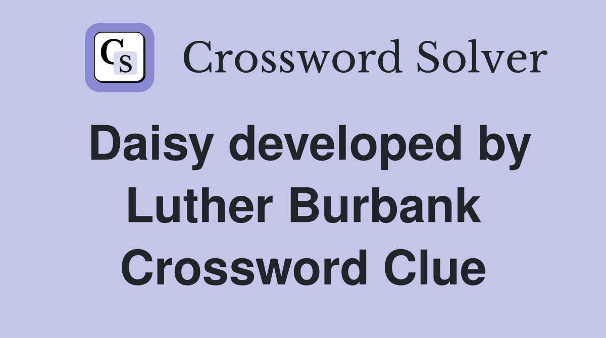Daisy developed by Luther Burbank Crossword Clue