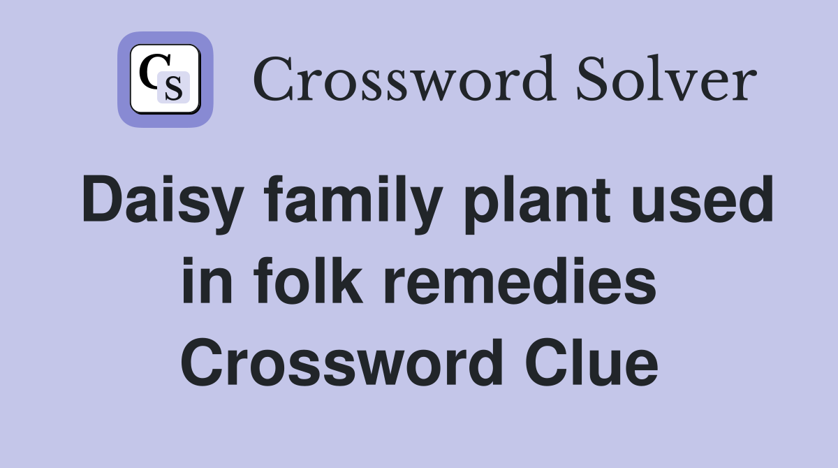 Daisy family plant used in folk remedies Crossword Clue