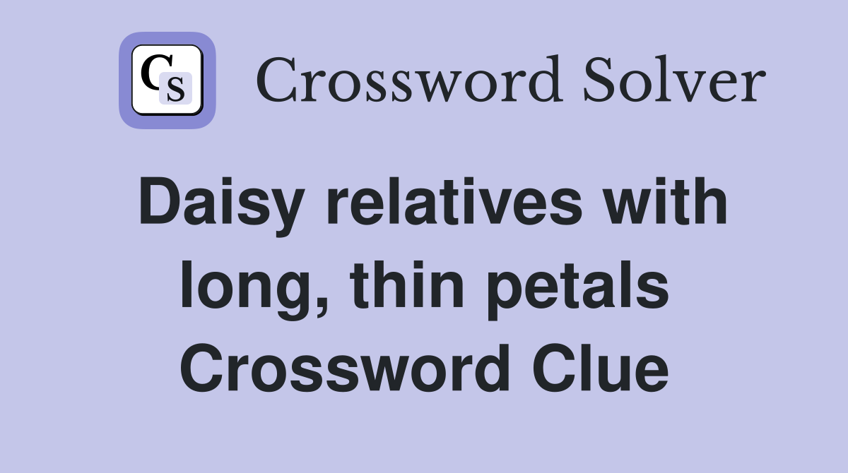Daisy relatives with long, thin petals Crossword Clue