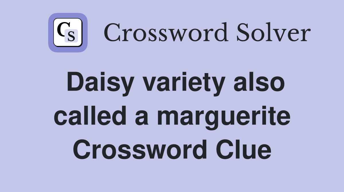 Daisy variety also called a marguerite Crossword Clue