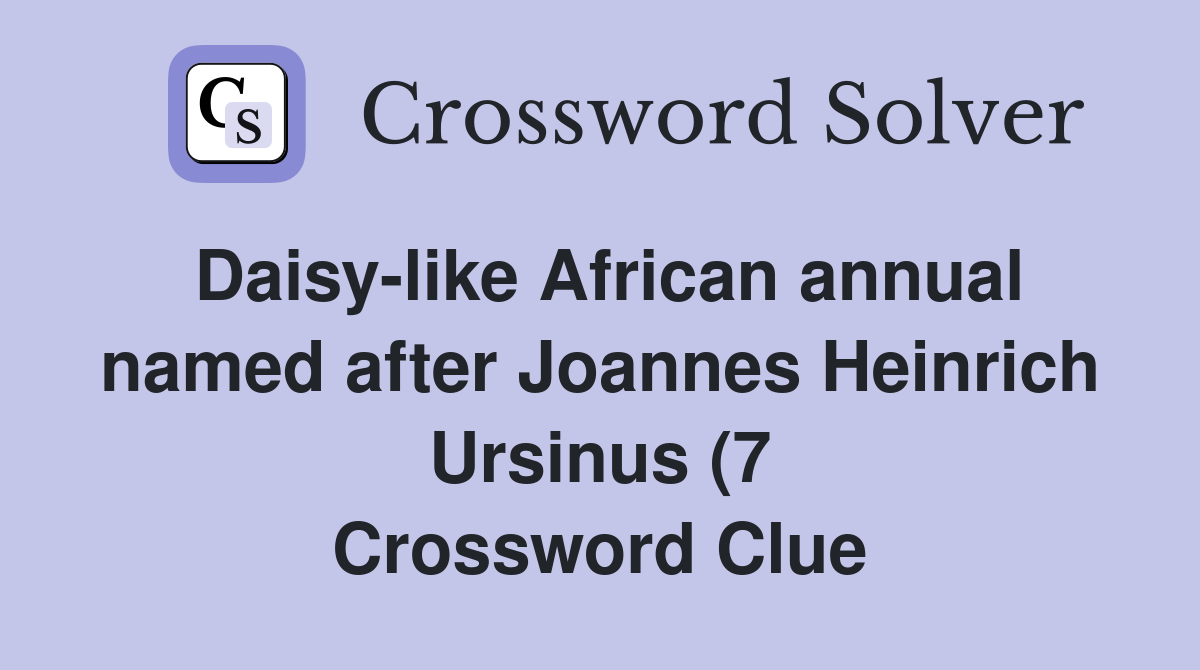 Daisy like African annual named after Joannes Heinrich Ursinus (7 Daisy like African annual named after Joannes Heinrich Ursinus (7