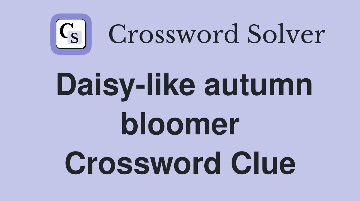 Daisy-like autumn bloomer Crossword Clue