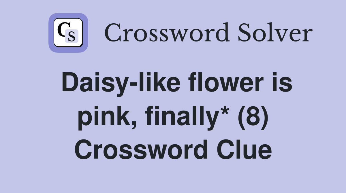 Daisy-like flower is pink, finally* (8) Crossword Clue