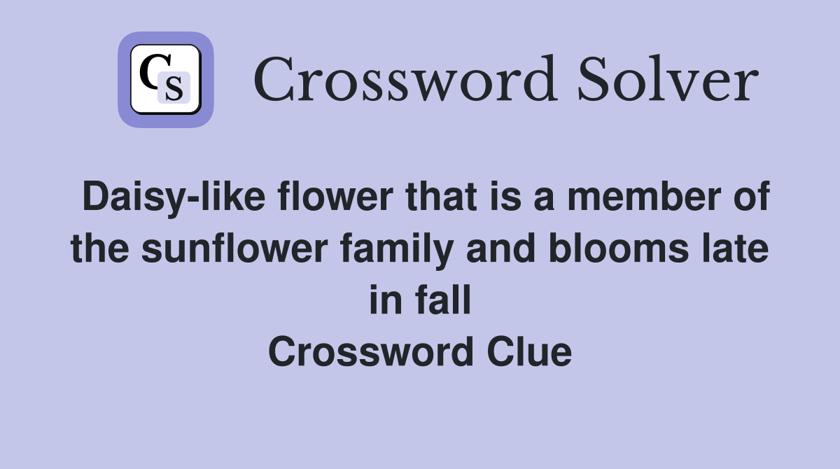 Daisy-like flower that is a member of the sunflower family and blooms late in fall Crossword Clue
