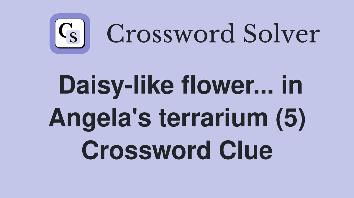 Daisy-like flower... in Angela's terrarium (5) Crossword Clue