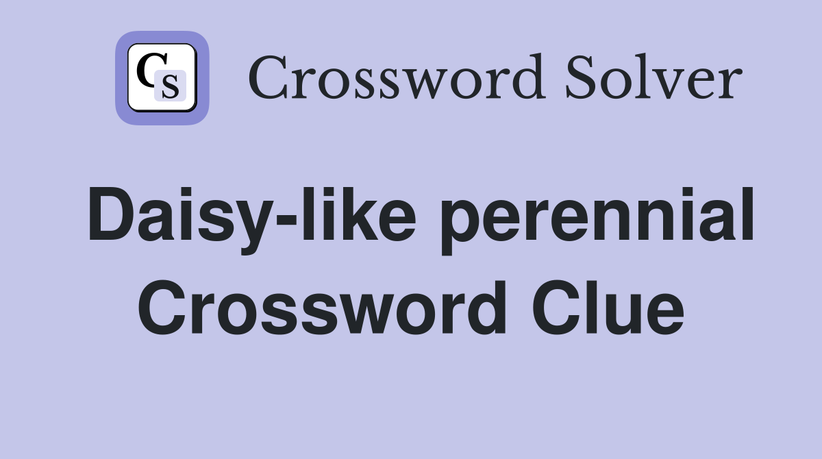 Daisy-like perennial Crossword Clue