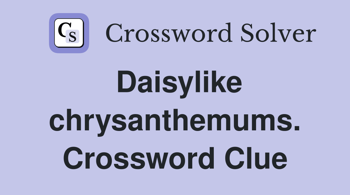 Daisylike chrysanthemums. Crossword Clue