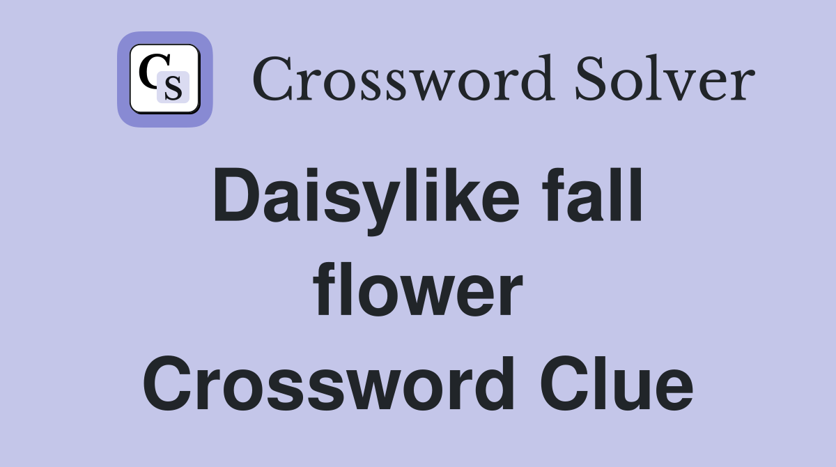 Daisylike fall flower Crossword Clue