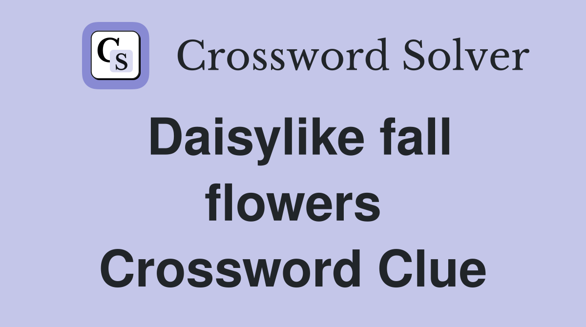 Daisylike fall flowers Crossword Clue