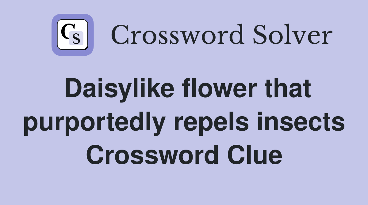 Daisylike flower that purportedly repels insects Crossword Clue