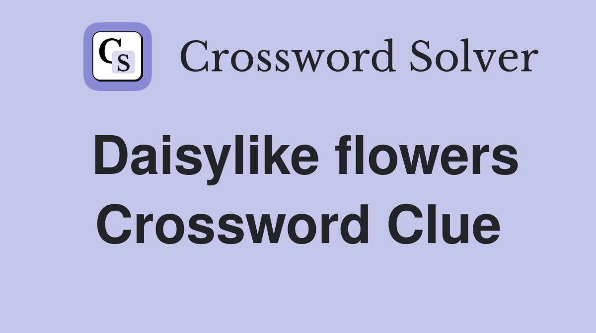 Daisylike flowers Crossword Clue