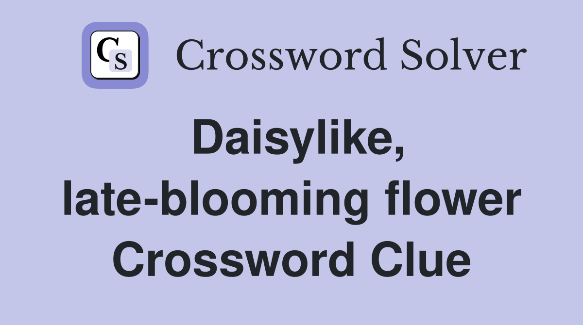 Daisylike, late-blooming flower Crossword Clue