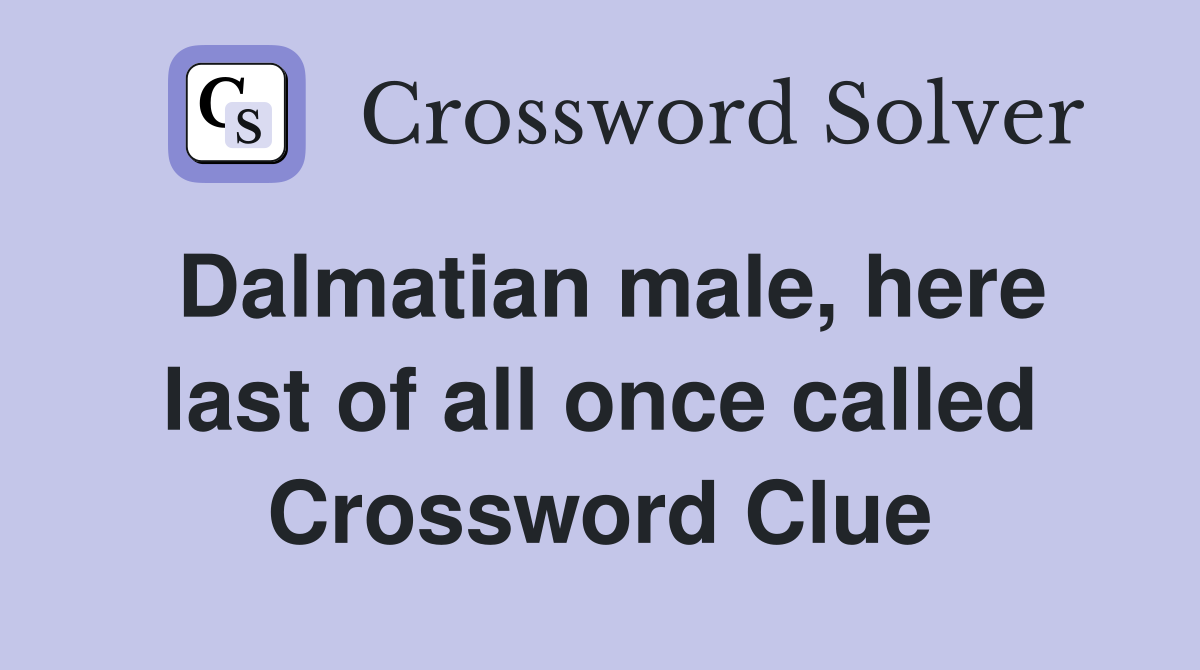 Dalmatian male, here last of all once called Crossword Clue