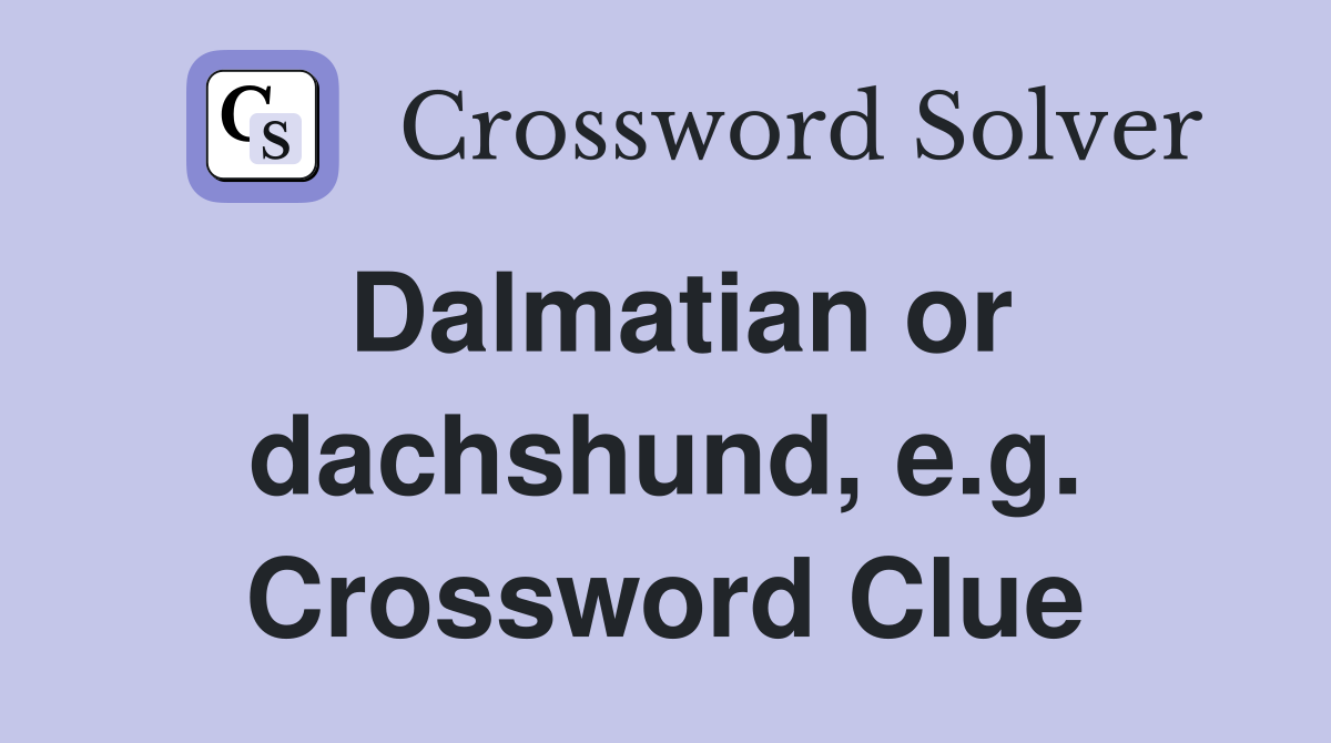 Dalmatian or dachshund, e.g. Crossword Clue